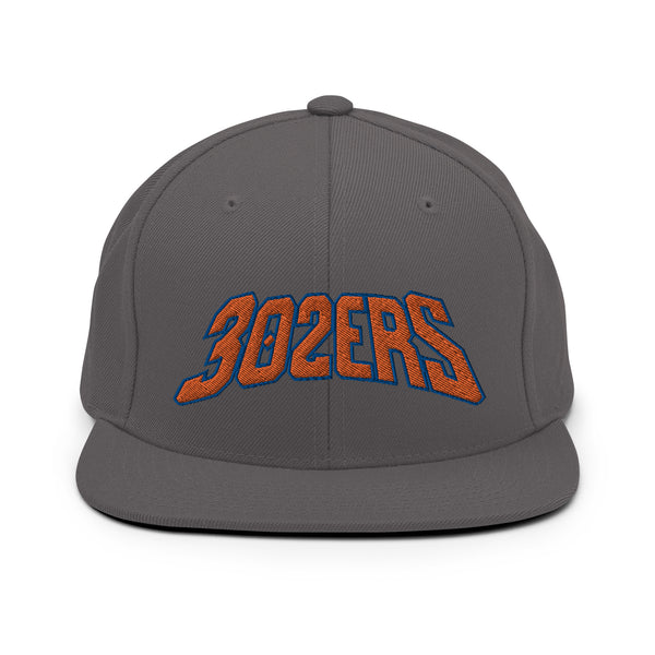 302ers NY Snapback Hat