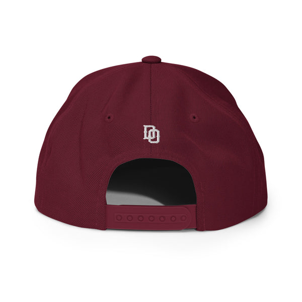 Delaware 302ers Snapback Hat