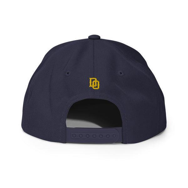 Delaware 302ers Snapback Hat