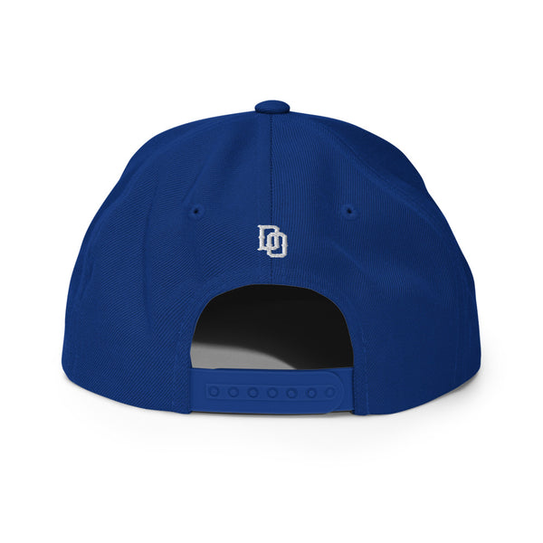 Delaware 302ers Snapback Hat