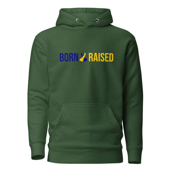 Born X Raised Delaware - Unisex Hoodie